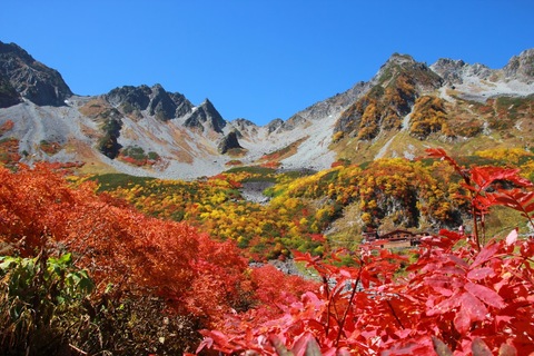 764a9213f8e5672d756fac63cf67bfe3