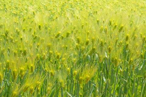 4f38c26aa51388a0778b2f8559791ab0