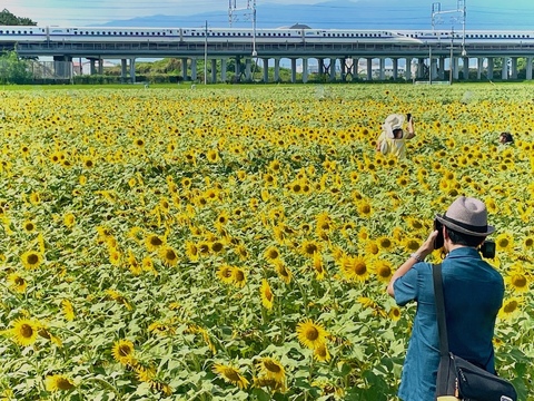 44bdf34f423e7b00d220fbff6f77f0eb