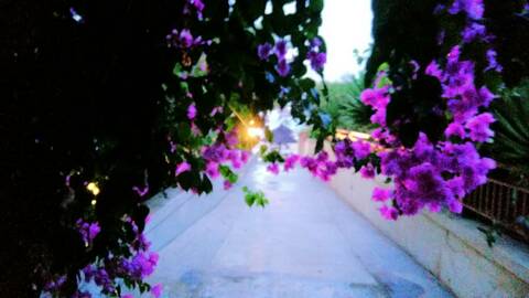 Ee9e27247e5ec8e1acddedd8e90e31c2