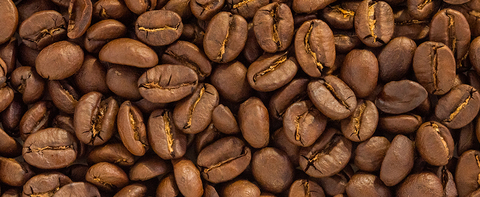 C0798cce6e7154aabf782a0e6e6bb9d6