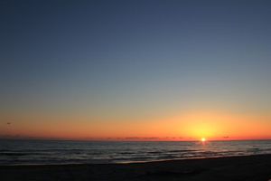 98f9a402a1babc4929a8b5cc050cfce1