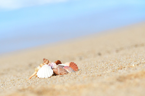 144011241cc791e3424ceb5c28b2c276