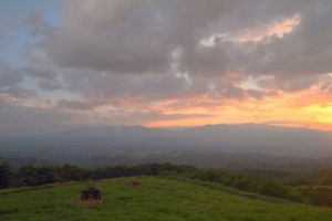 B477e4e5a0b7aa212444952b2a2849a1