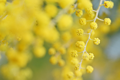 87cd9a6dec4938ba64fe6c0fc23559cf