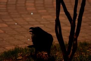 Bfaf14a61f1c1234b6593b9d1e5d6c17