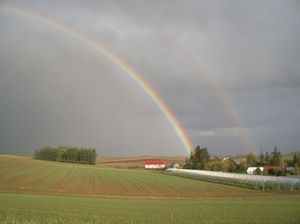 F98bb173823c73e24b553805b3e19d28