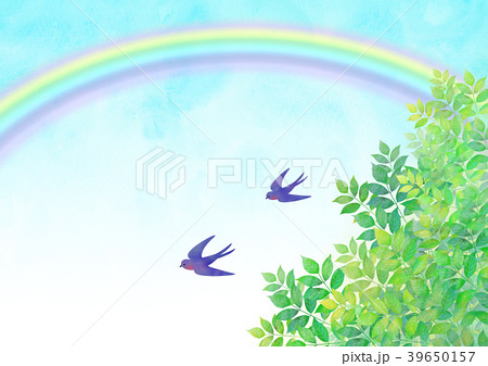 B695732c135980806a8fbb434783540c