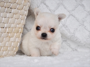 8b2beb15cf25086c03e5ad532b7c27ae