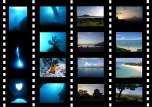 F8bd38153b2fc3e9562b0041c57264d5