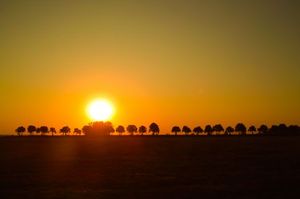 0f0f6145dc7fbf3433260dbfc8b931f5