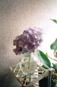 71728fe1748dd29d036895c336d62fbd