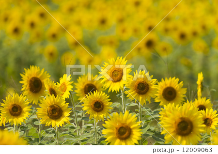 D554b50ee2532eb49549a1065fb22da1