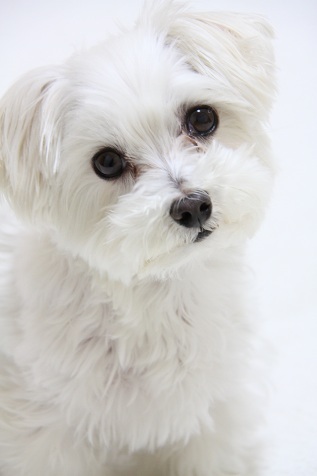 50a47ebcc2aa934eba759f96cfb71e99