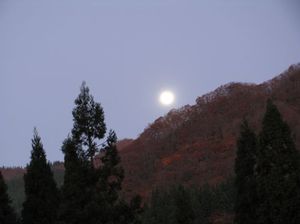 7c5f3aa952f41d6b1904be9eb13152d3