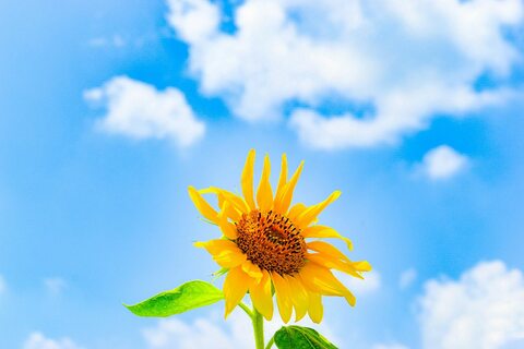 0c9cda3aefb27a61e03c3410a1d70187