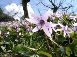 5e9f419b17371164a9ff478727011f3d