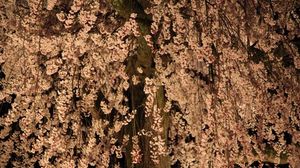 30b8fc41caa8db14b5f4884df61f7bed