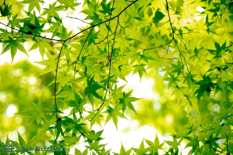 129ed3000b70328dac8565506b0c54c6