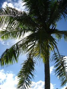 95cd11c8e4a5cf5464575c18a1704052