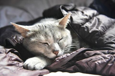 C09ea7c8fcd37d9f61d55ada95a34199