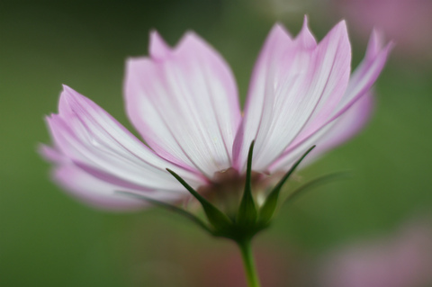 D0ab4e49b32a94dcb518177f1ff7c93a