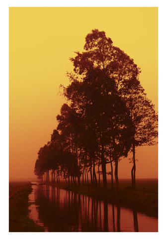 95d1b9ab2cbca96b1bd9d429b5a1f859