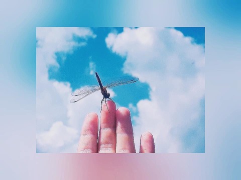 1779b0df7f4a7797f2ca2642ee3476be