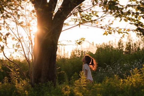 5be46b182275f77cf63e6e332e1d316f