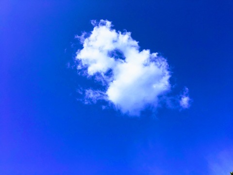 Ff897c51761c9f5ba0a6e08ab38fa234