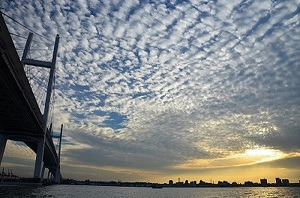 3b614cd097e85eb54205550c2bf735d4