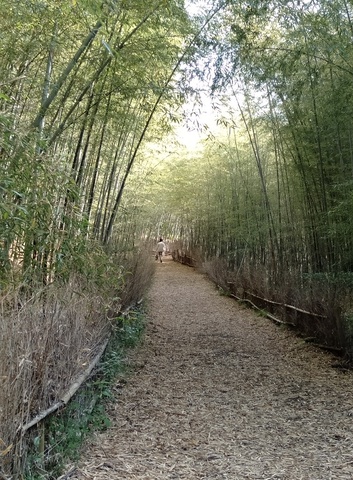 Bf73278119a2bc8dbb8f1aebd10c8ff8