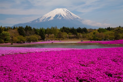 Cf130d74e48faa9db98e13d6e15f50fe