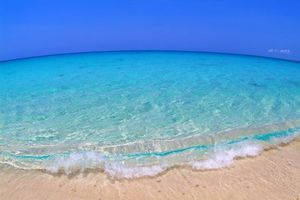 64a0cb00e001c3d2ed570170c4a2d7f3