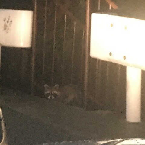 C0de5dd0dd12207cdef01a671c0cdcc1