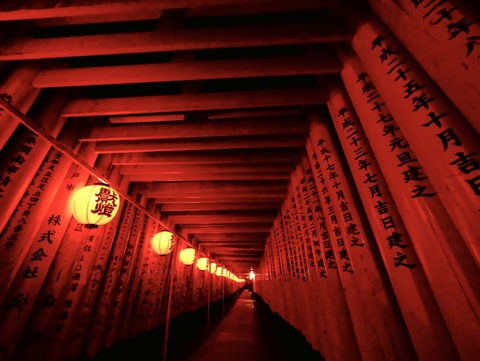 7ffbd476cb40f4f0ed26ed04555d593d