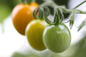 0b7f13ddafcd0570322a9a0dcef4def9