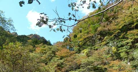 Ad189de2f0a37c9588f080b45e0c4c6a