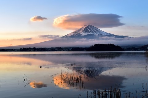 76a0946a8a177e43dd0420c6dce77625