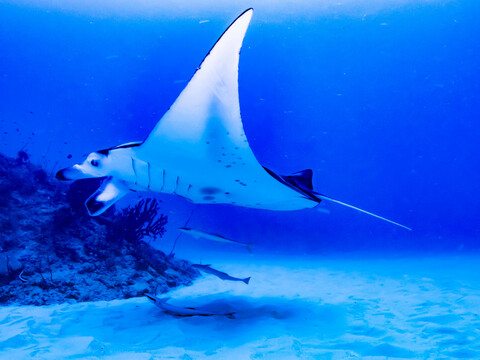 F72581e99ede6f2fe047d748b8f43cb5