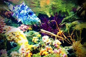 8cf985e3484260e8562402b2f0bec1bc