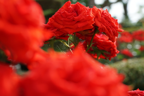 0677c2b4c6c052b32ef0d31fd0d4b0b0