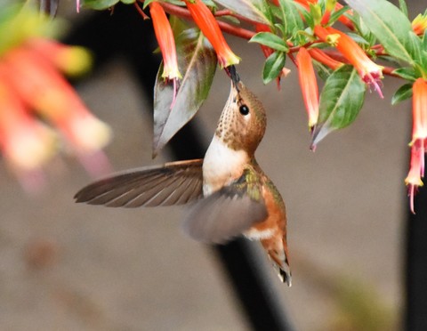 73d450e39cd44ec23db09689e14ac803