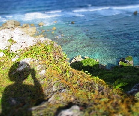 8d7d8c3d0eedb5728834f3c64c9e18ea