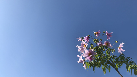 89dde1136eeeeed751b9e49639cb50e3