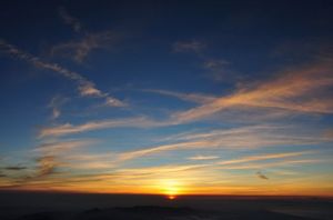 742dd852f0586fcc78360a0f21d5b3a0