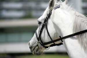 89a469597a1f70228d502e2b0f6392f7