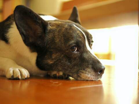 71e5d1ef1f9598d552bb64ad6a8258a9