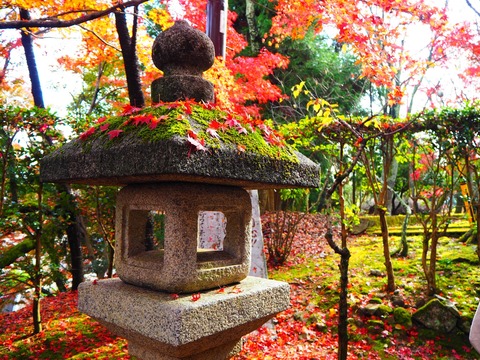 6ce26ce12e8793d045055c4c6e7dbcea