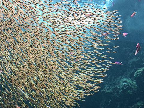 192af5d989405220372f43c92458a61d